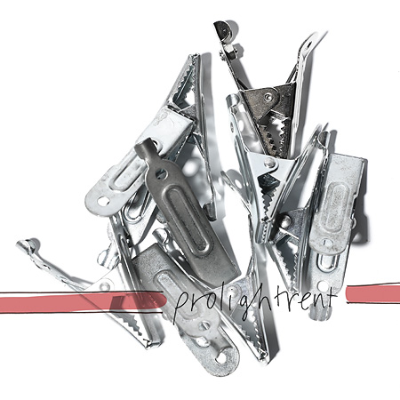 Croc Clips, 10 Stück