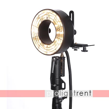 Profoto Pro Ring 2 mit Einstelllicht