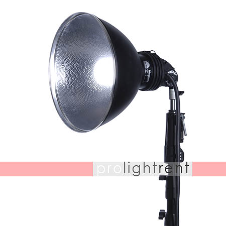 Profoto Pro Twin inkl. Magnumreflektor